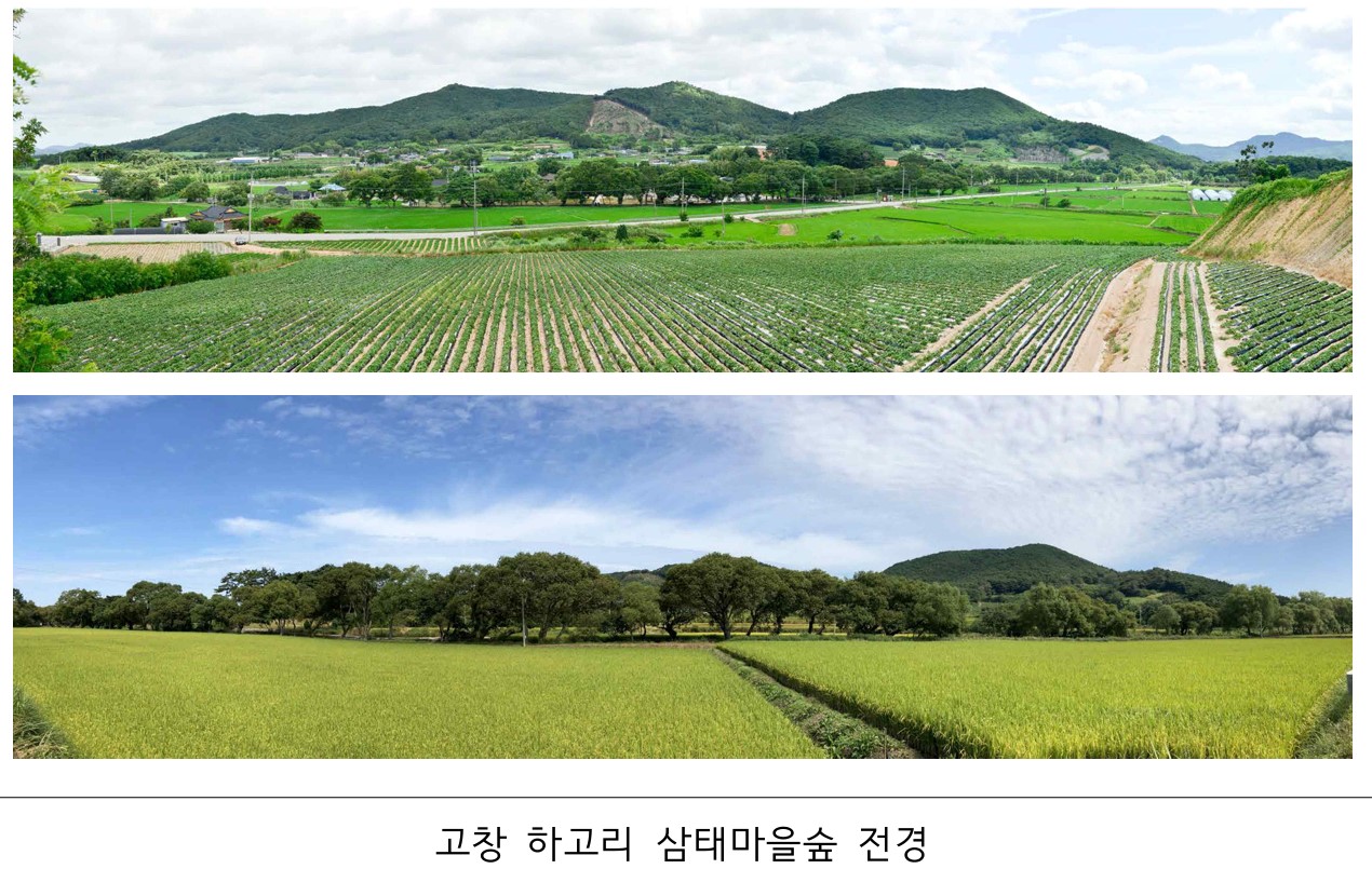 기사 대표 이미지