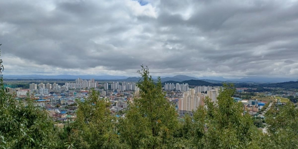 기사 대표 이미지