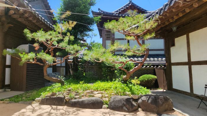 전북현대, 전주한옥마을에 정원 조성 후원… “시민 사랑에 보답”