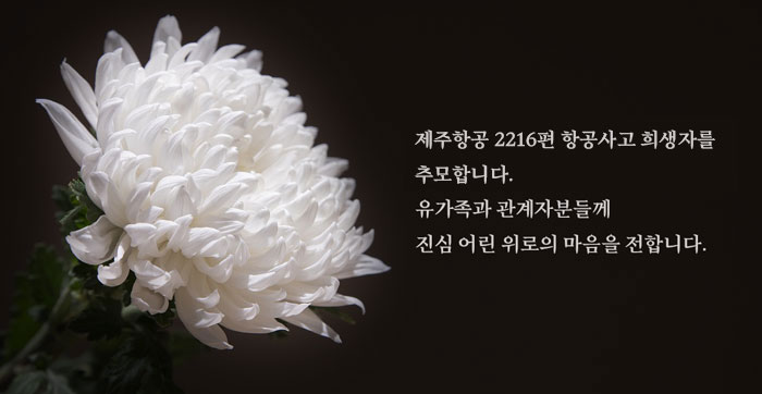 기사 대표 이미지