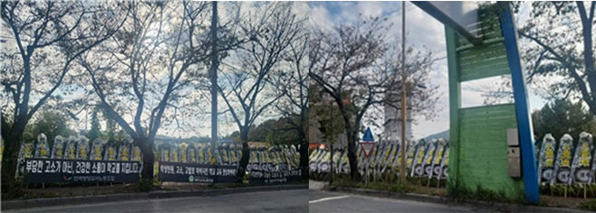 서이초 사건과 레드카드 사건, 초등학생 피살 사건의 공통점