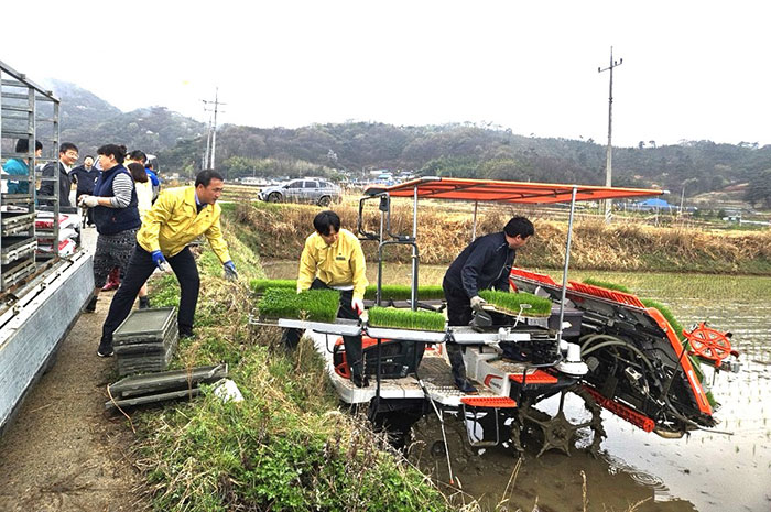 순창군, 풍산면서 올해 첫 모내기…본격 영농철 돌입