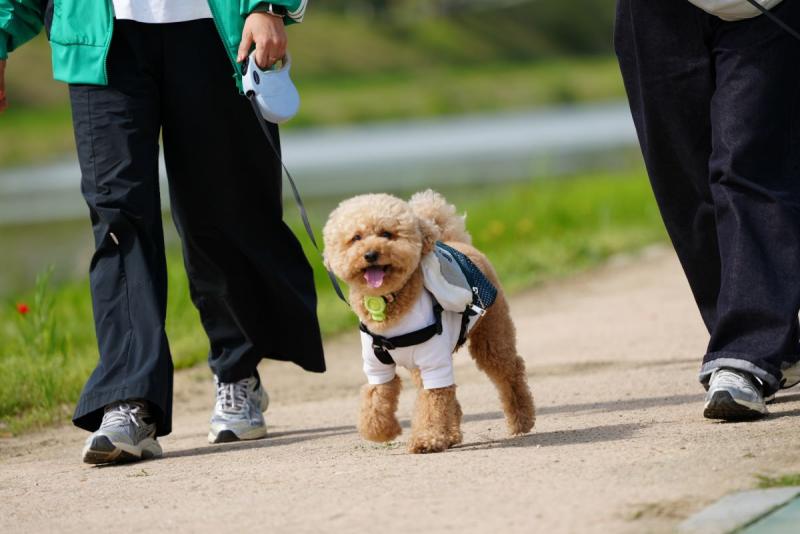 “반려견의 발걸음이 꽃길이 되다” 전북현대, ‘SEED BY PET’ 사회공헌 활동 